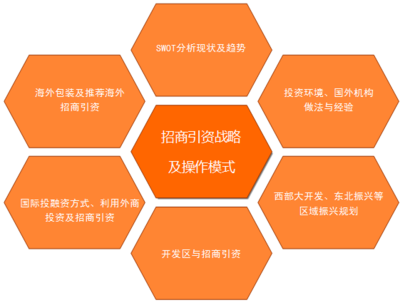 招商引资策略咨询与科技中介服务 推动企业高效发展的关键环节